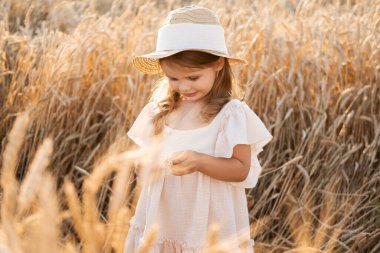 Hasır şapkalı ve bej kumaşlı şirin kız gün batımında buğday tarlasında elbise giyiyor..