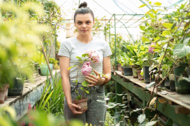 Serada Hydrangea 'yla esrar taşıyan gündelik giysili, genç ve çekici kadınlar..