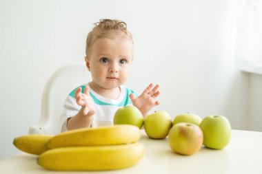 Çocuk sandalyesinde oturan, beyaz mutfakta elma yiyen tatlı bir çocuk..