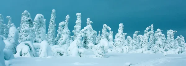 Fabulous snow-covered forest on a background of blue sky. — Stock Photo, Image