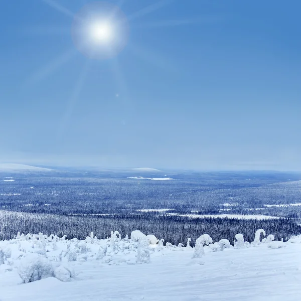 화창 한 날의 겨울 풍경. — 스톡 사진