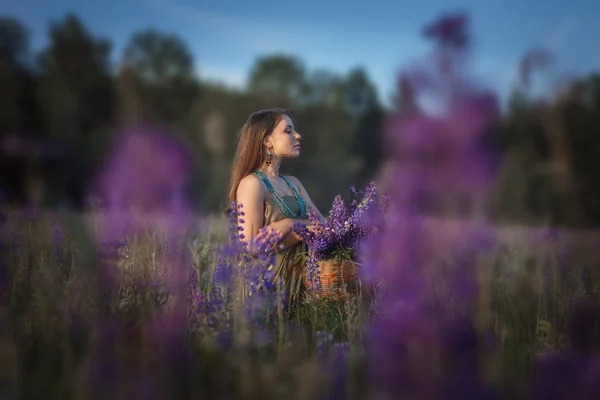 Menina bonita no campo de tremoço . — Fotografia de Stock