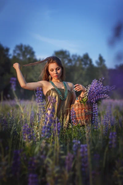 Frumoasă fată în câmp lupin . — Fotografie, imagine de stoc