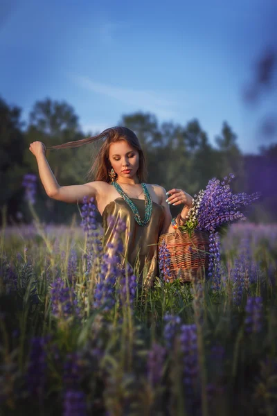 Schönes Mädchen im Lupinenfeld. — Stockfoto