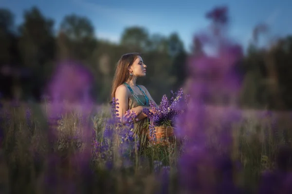 Beautiful girl in  lupine field. — Stock Photo, Image