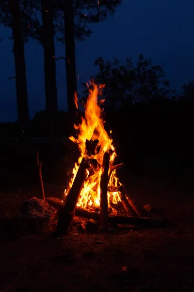Bonfire Night Forest Travel Outdoor Activities Romance — Stock Photo, Image