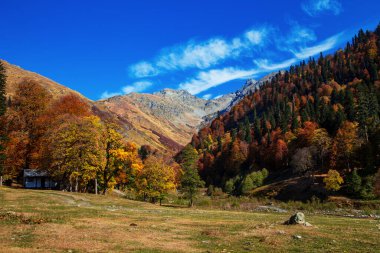 Abhazya 'da dağ geçidi Pyv. Muhteşem sonbahar manzarası. Alp çayırları. Auadhara.
