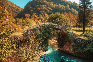 Sonbaharda resmedilmiş eski Besletsky köprüsü (veya Kraliçe Tamara köprüsü). Abhazya, Sukhum - 17 Ekim 2020. 