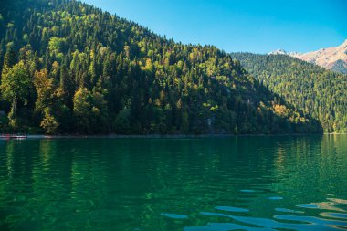 Abkhazia, the famous Ritsa lake. Picturesque, majestic clear turquoise lake.  clipart