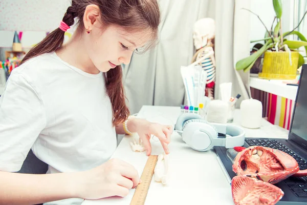 Joven Adolescente Estudiando Anatomía Humana Casa Mide Hueso Del Brazo —  Fotos de Stock