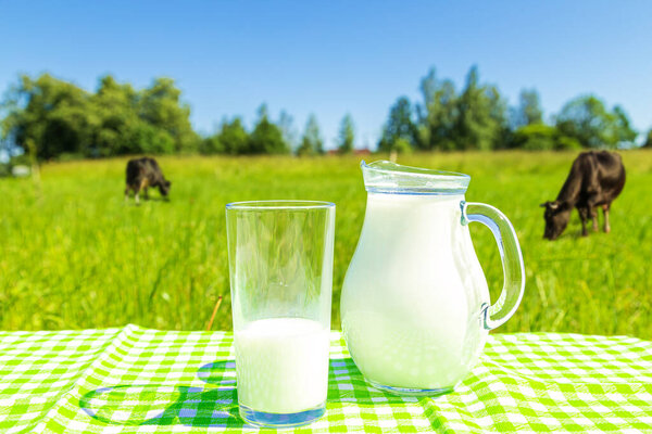 Кувшин и стакан молока на фоне зеленого поля и голубого неба. Здоровое питание.