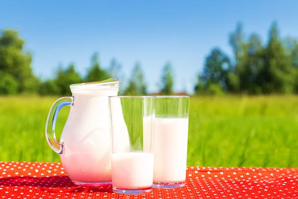 Зелене Поле Блакитне Небо Дві Склянки Глечик Молоком Здорове Харчування — стокове фото