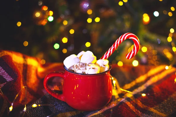 红杯加可可豆和棉花糖传统圣诞装饰品 — 图库照片