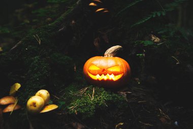 Jack 'in korkunç, mistik ormandaki feneri. Oyulmuş balkabağı. Cadılar Bayramı geçmişi. 
