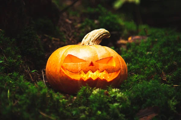 恐ろしい神秘的な森の中のジャックのランタン カボチャを彫った ハロウィンの背景 — ストック写真