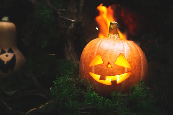 Tökök Családja Jack Lantern Őszi Misztikus Erdőben Humor Halloween Háttér — Stock Fotó