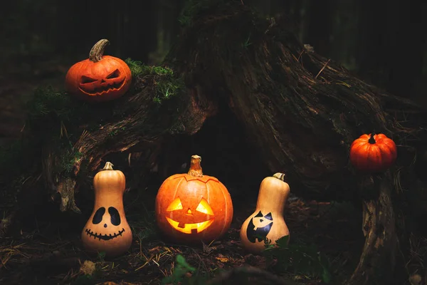 Famiglia Zucche Jack Lanterna Nella Foresta Mistica Autunno Umorismo Halloween — Foto Stock