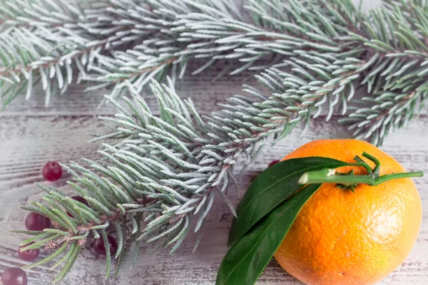 Cranberry, tangerine and Christmas tree branches on a wooden tab — Stock Photo, Image