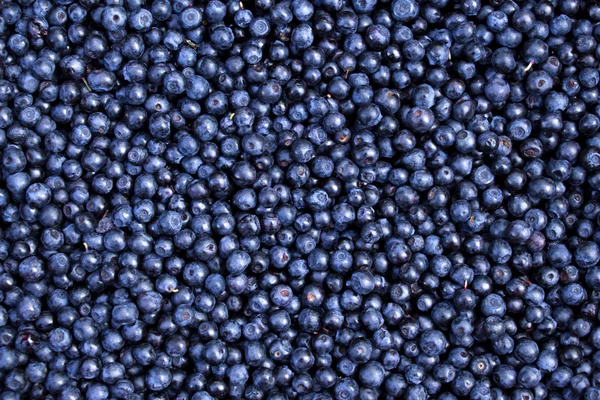 Hintergrund der frischen reifen Blaubeeren. — Stockfoto