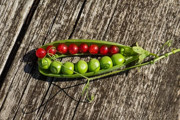 Groene erwten en rode aalbessen. — Stockfoto