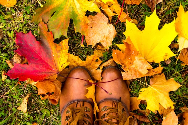 Stivali in pelle con foglie d'acero colorate . — Foto Stock
