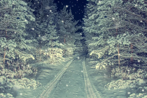 The road in night snowy forest. — Stock Photo, Image