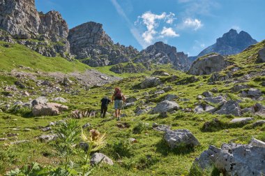 Vorarlberg, Avusturya 'daki dağlarda yürüyüş. Vorarlberg, Avusturya 'da ıssız bir dağ manzarasında yürüyüş yapmak.