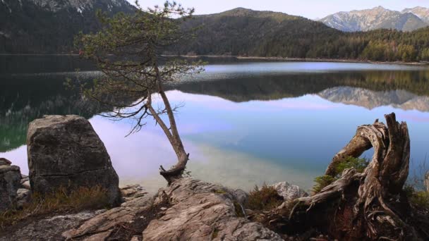 ドイツアルプスの雪の山の前に小さな島と山の湖を反映 反射する山の湖のパノラマ — ストック動画