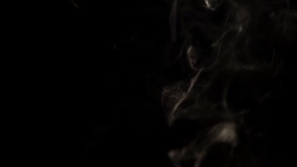 Witte Rook Een Zwarte Achtergrond Smoke Overlay Een Zwarte Achtergrond — Stockvideo