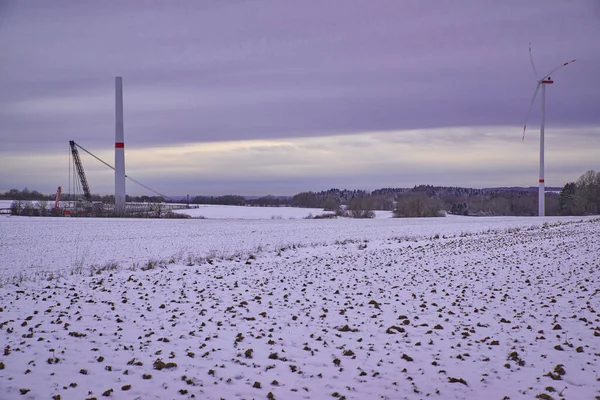 Low angle view of a wind farm in winter. Wide shot of wind turbines on a snowy field in winter.