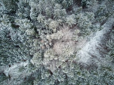 Karla kaplı kozalaklı ormanın yukarıdan görünen görüntüsü. Karla kaplı bir ormanın kuş bakışı görüntüsü.