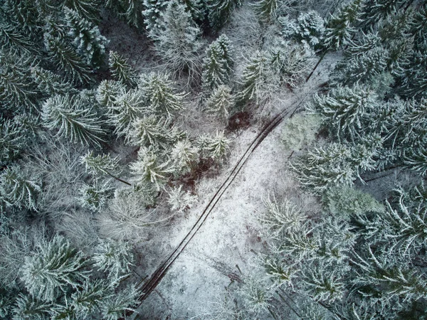 Pohled Shora Dolů Zasněžený Jehličnatý Les Pohled Ptačí Perspektivy Zasněžený — Stock fotografie