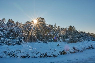Dağlarda donmuş bir göl. Alman Alplerinde donmuş dağ gölü.