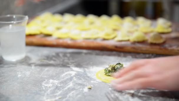 Förbereder Traditionell Italiensk Ravioli Hemlagad Italiensk Pasta — Stockvideo