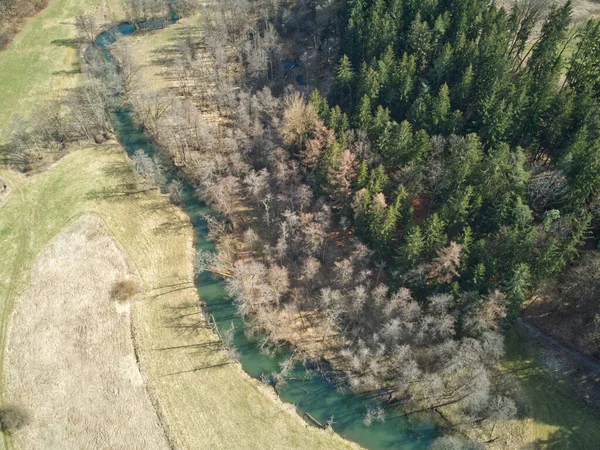 Aerial shot of a meandering river. Aerial shot of a turquoise river flowing through a conifer forest.