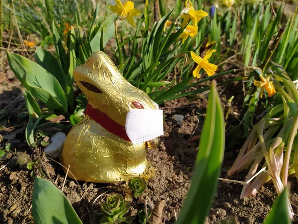 Easter bunny with face mask. Easter bunny wearing a face mask.