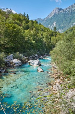 Slovenya 'daki Soca nehrinin manzarası.