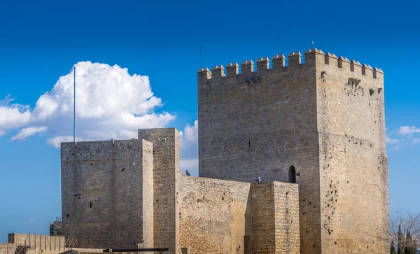 Vista Aérea Del Castillo Alcal Real Castillo Alcalá Real Provincia —  Fotos de Stock