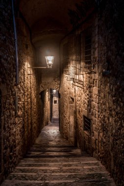 Gotik Aziz Mary Katolik katedrali, şehir duvarları ve Girona Katalonisi 'nde günbatımında renkli evler olan ortaçağ Girona manzarası
