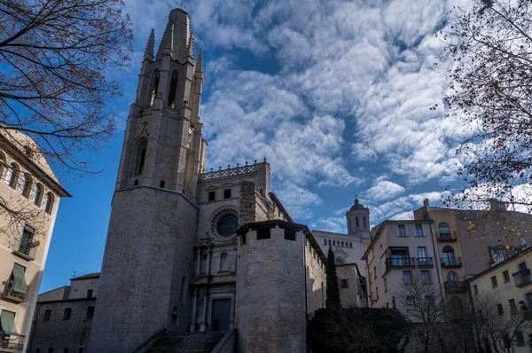 Vista Panorâmica Aérea Girona Medieval Com Catedral Gótica Santa Maria — Fotografia de Stock