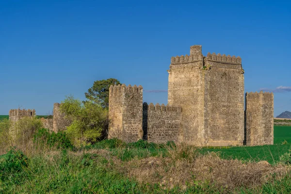 Veduta Aerea Del Castello Medievale Aguzaderas Vicino Siviglia Andalusia Con — Foto Stock