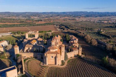 Yatay çizgileri ve ağaç kökü desenli yeşil çimlerin havadan görünüşü