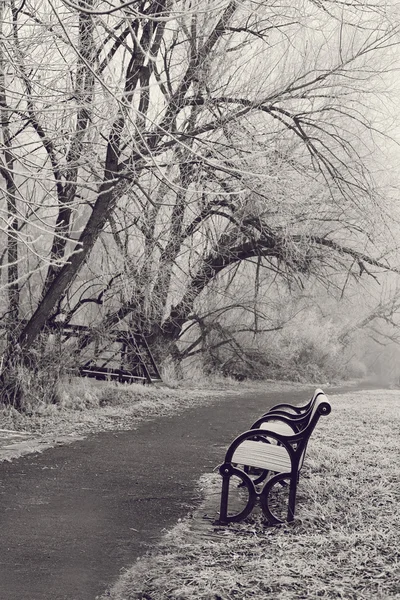 Winter in the Park — Stock Photo, Image