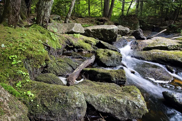 Tranquilo arroyo de montaña Imágenes De Stock Sin Royalties Gratis