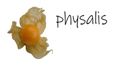 Cape bektaşi üzümü, bitki örtüsü beyaz arka planda izole edilmiş kokulu meyve.