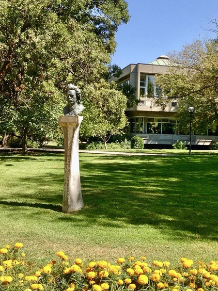 Albert Einstein 'ın bronz büstü. Modern fiziğin iki temel direğinden biri olan görelilik teorisini geliştiren bir teorik fizikçi. Orta Doğu Teknik Üniversitesi kampüsü. Ankara Türkiye