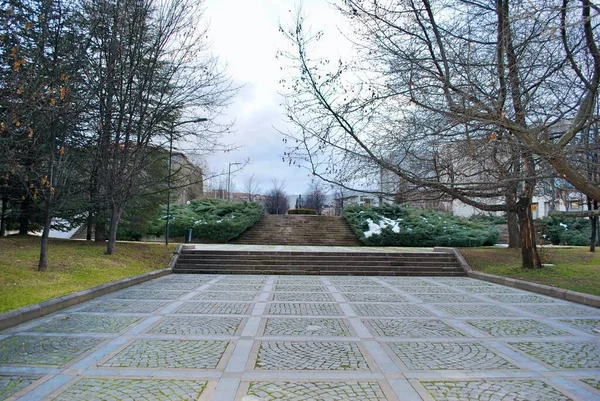 Ankara Türkiye. Bilkent Üniversitesi 'nin yüksek ağaçlı kampüsü. 