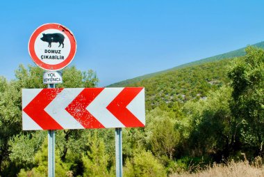 Sürücüleri olası domuz ve Ege Denizi bölgesinden geçen yaban domuzları hakkında uyarmak için yol işareti. Çevirisi, vahşi domuz, yaban domuzu geçidi. Sonuna kadar. Boşluğu kopyala. 