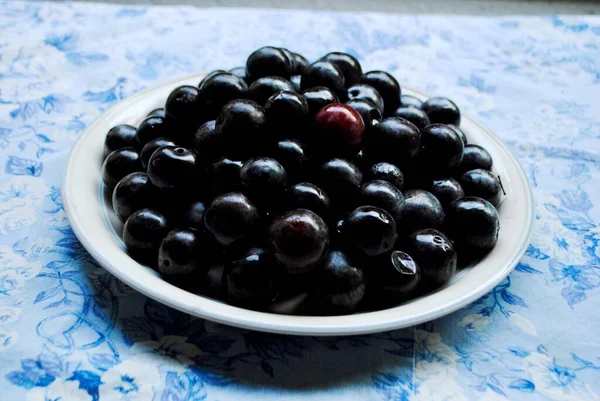 Ripen plums from tree to table with blue table cloth. — Stock Photo, Image