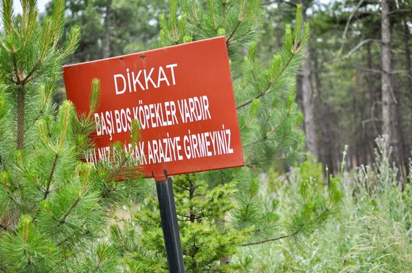 Türkiye 'nin Metu kentindeki ormanda Türkçe dingolar için uyarıda bulunan bir tabelayı kapatın. Dingo 'lara dikkat et. Yalnız girmeyin. Dikkatli ol..